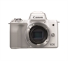 Mirrorless