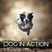 WORKSHOP DOG IN ACTION - Claudio Piccoli 17-18 Ottobre 2026 - Prevendita Ticket